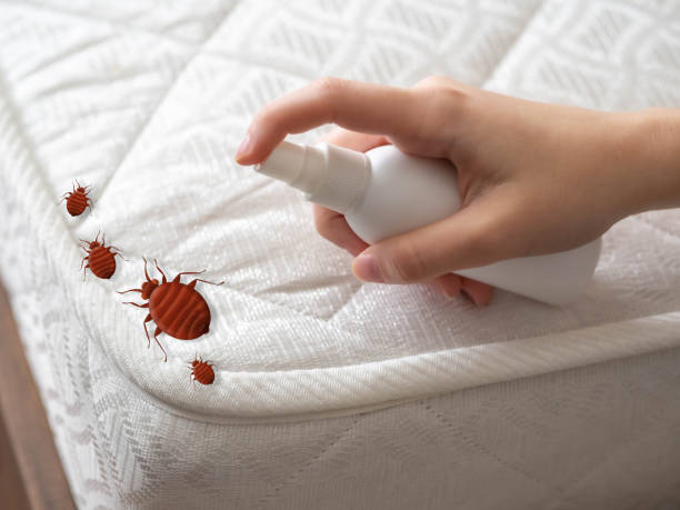 Best Pest Exclusion Services  in Lillian, AL